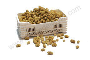 KURU DUT kategorisi için resim