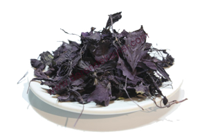 KURU REYHAN kategorisi için resim