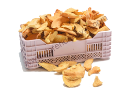 ELMA KURUSU kategorisi için resim