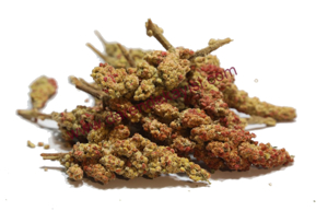 SUMAK kategorisi için resim