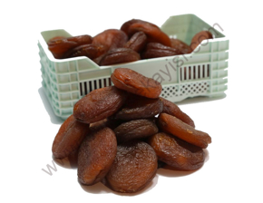 GÜN KURUSU KAYISI kategorisi için resim